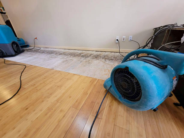 Professional Burst Pipe Water Damage technician working in Rockwood, IL